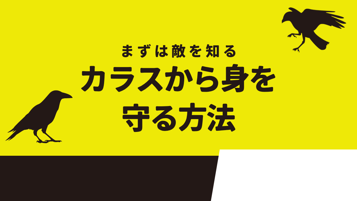 カラスから身を守る方法