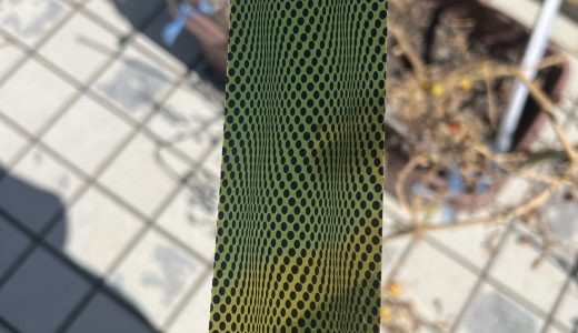 はとよけを設置して一か月がたちました