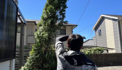 下のソーシャルリンクからフォロー