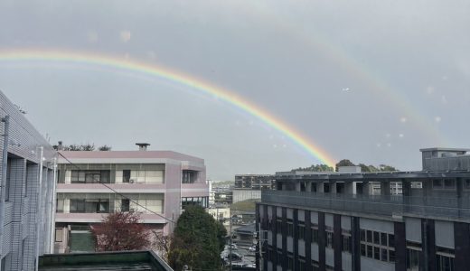 虹🌈