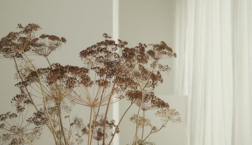 あけましておめでとうございます🌅