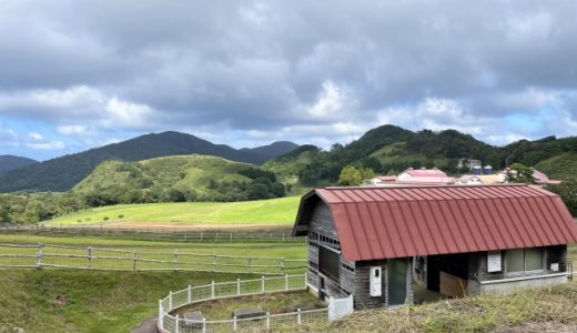 【農場・倉庫・産業用編】飛来する鳥対策